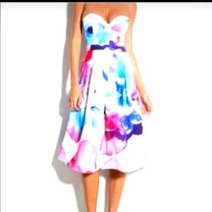 Hello Molly floral dress